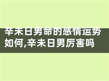 辛未日男命的感情运势如何,辛未日男厉害吗