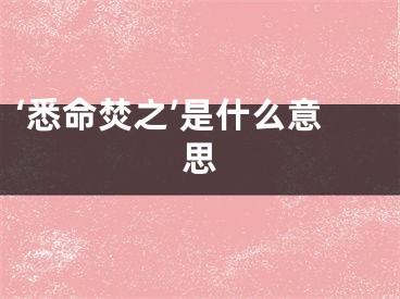 ‘悉命焚之’是什么意思