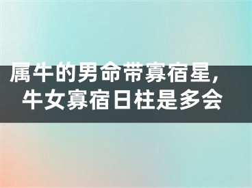 属牛的男命带寡宿星,牛女寡宿日柱是多会