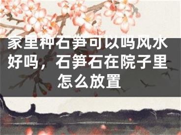 家里种石笋可以吗风水好吗,石笋石在院子里怎么放置