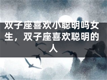 双子座喜欢小聪明吗女生，双子座喜欢聪明的人