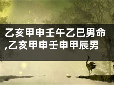 乙亥甲申壬午乙巳男命,乙亥甲申壬申甲辰男