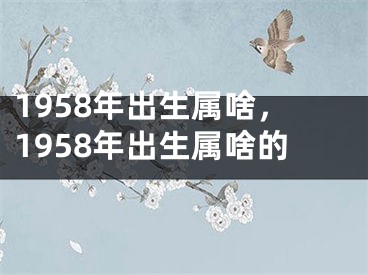 1958年出生属啥，1958年出生属啥的