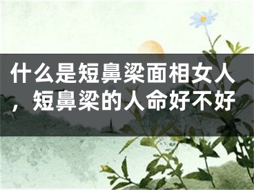 什么是短鼻梁面相女人，短鼻梁的人命好不好