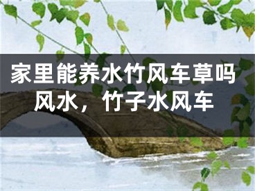 家里能养水竹风车草吗风水，竹子水风车