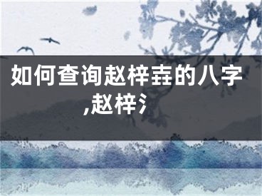 如何查询赵梓壵的八字,赵梓氵