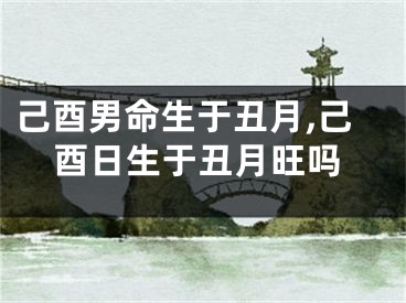 己酉男命生于丑月,己酉日生于丑月旺吗