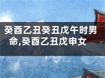 癸酉乙丑癸丑戊午时男命,癸酉乙丑戊申女