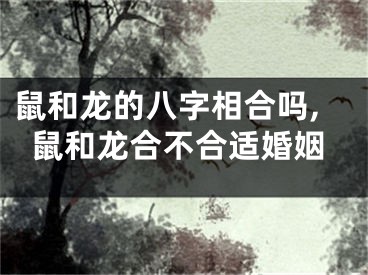 鼠和龙的八字相合吗,鼠和龙合不合适婚姻