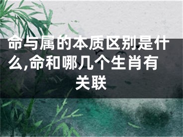 命与属的本质区别是什么,命和哪几个生肖有关联