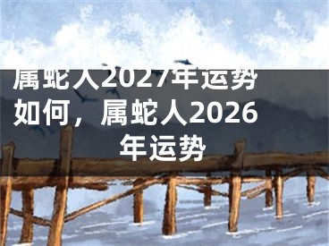 属蛇人2027年运势如何，属蛇人2026年运势