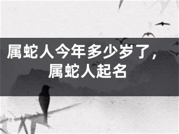 属蛇人今年多少岁了，属蛇人起名
