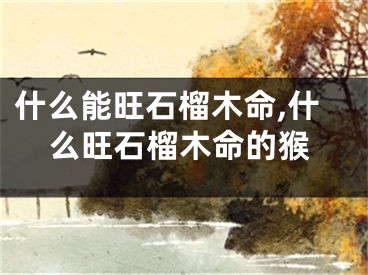 什么能旺石榴木命,什么旺石榴木命的猴