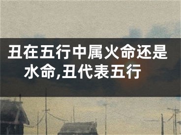 丑在五行中属火命还是水命,丑代表五行