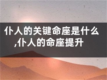 仆人的关键命座是什么,仆人的命座提升