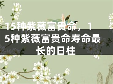 15种紫薇富贵命，15种紫薇富贵命寿命最长的日柱