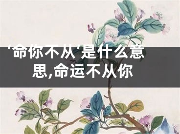 ‘命你不从’是什么意思,命运不从你