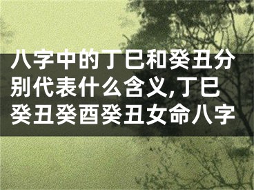 八字中的丁巳和癸丑分别代表什么含义,丁巳癸丑癸酉癸丑女命八字