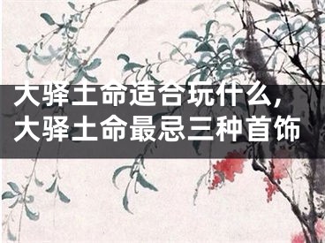 大驿土命适合玩什么,大驿土命最忌三种首饰