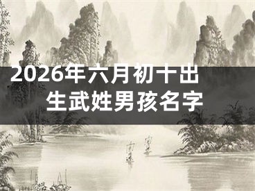 2026年六月初十出生武姓男孩名字