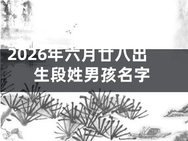 2026年六月廿八出生段姓男孩名字