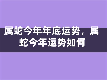 属蛇今年年底运势，属蛇今年运势如何