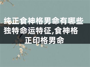 纯正食神格男命有哪些独特命运特征,食神格正印格男命