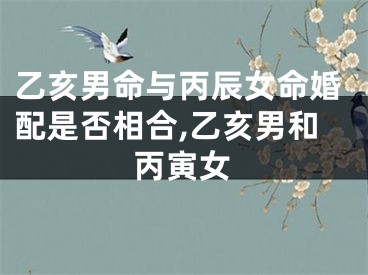 乙亥男命与丙辰女命婚配是否相合,乙亥男和丙寅女