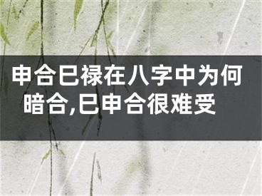申合巳禄在八字中为何暗合,巳申合很难受