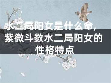 水二局阳女是什么命,紫微斗数水二局阳女的性格特点