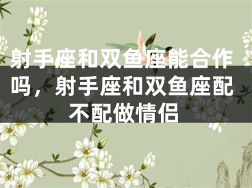 射手座和双鱼座能合作吗，射手座和双鱼座配不配做情侣