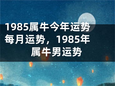 1985属牛今年运势每月运势，1985年属牛男运势