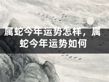 属蛇今年运势怎样，属蛇今年运势如何