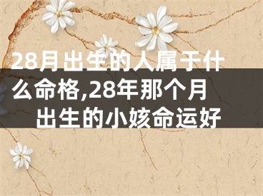 28月出生的人属于什么命格,28年那个月出生的小姟命运好