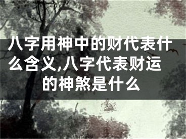 八字用神中的财代表什么含义,八字代表财运的神煞是什么