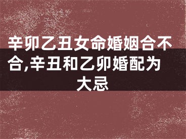 辛卯乙丑女命婚姻合不合,辛丑和乙卯婚配为大忌