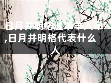 日月并明格遇擎羊入命,日月并明格代表什么人
