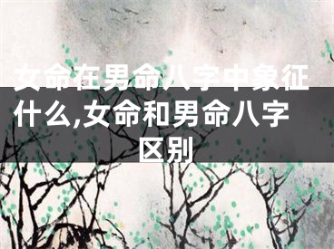 女命在男命八字中象征什么,女命和男命八字区别