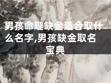 男孩命理缺金适合取什么名字,男孩缺金取名宝典