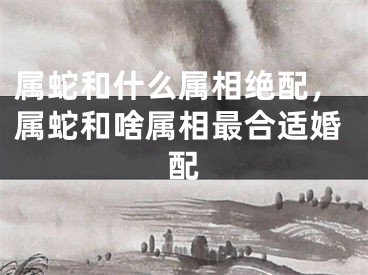 属蛇和什么属相绝配,属蛇和啥属相最合适婚配