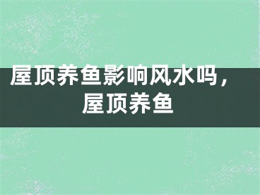 屋顶养鱼影响风水吗，屋顶养鱼