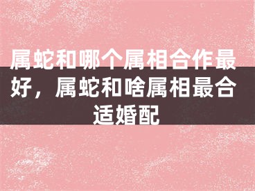 属蛇和哪个属相合作最好，属蛇和啥属相最合适婚配