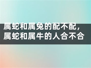 属蛇和属兔的配不配，属蛇和属牛的人合不合
