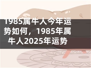 1985属牛人今年运势如何，1985年属牛人2025年运势