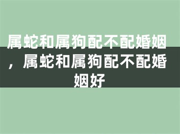 属蛇和属狗配不配婚姻，属蛇和属狗配不配婚姻好