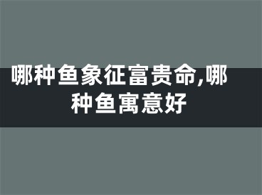 哪种鱼象征富贵命,哪种鱼寓意好