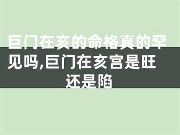 巨门在亥的命格真的罕见吗,巨门在亥宫是旺还是陷