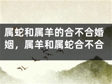 属蛇和属羊的合不合婚姻,属羊和属蛇合不合