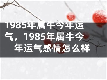 1985年属牛今年运气，1985年属牛今年运气感情怎么样