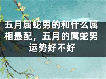 五月属蛇男的和什么属相最配，五月的属蛇男运势好不好